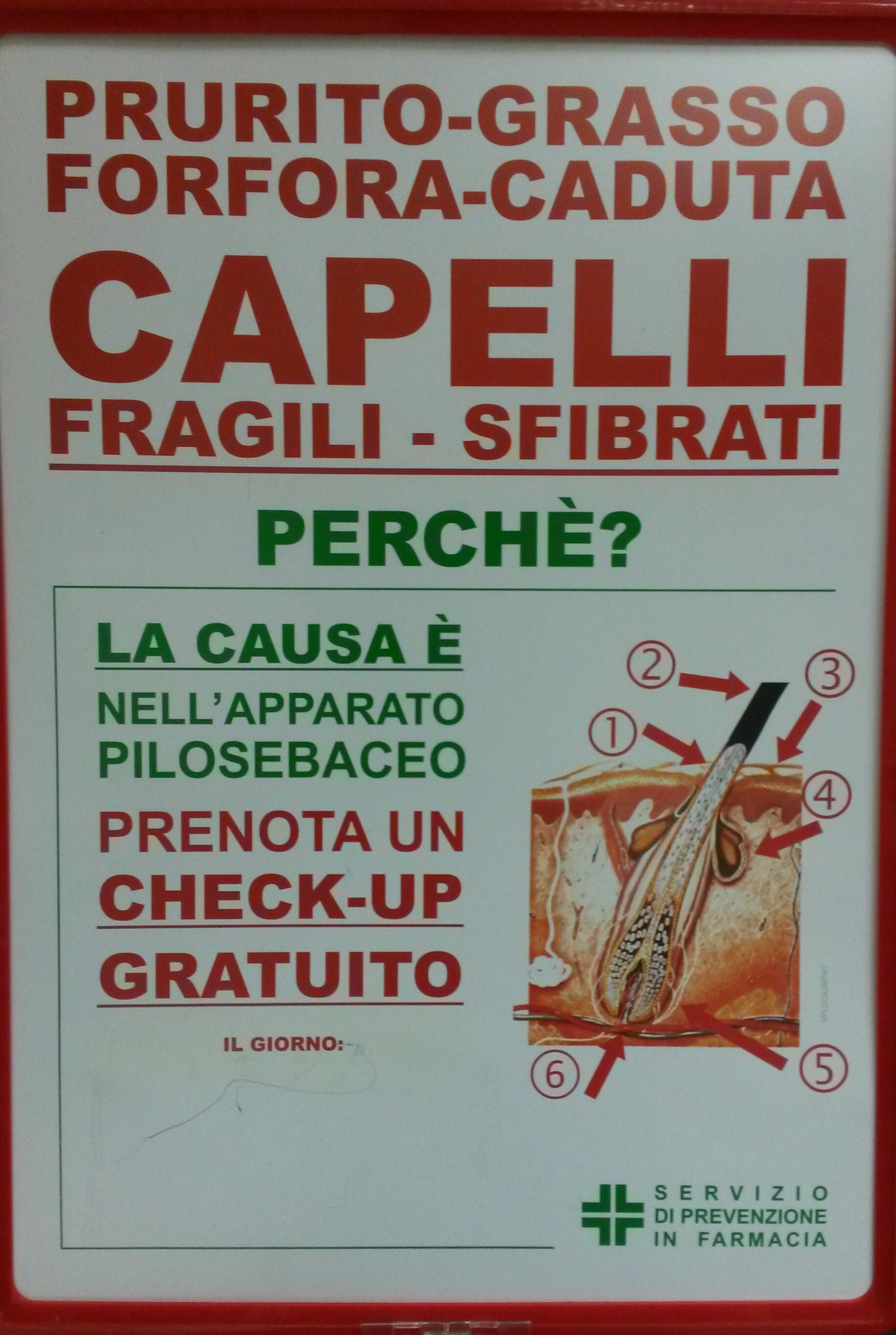 Check-up Capelli